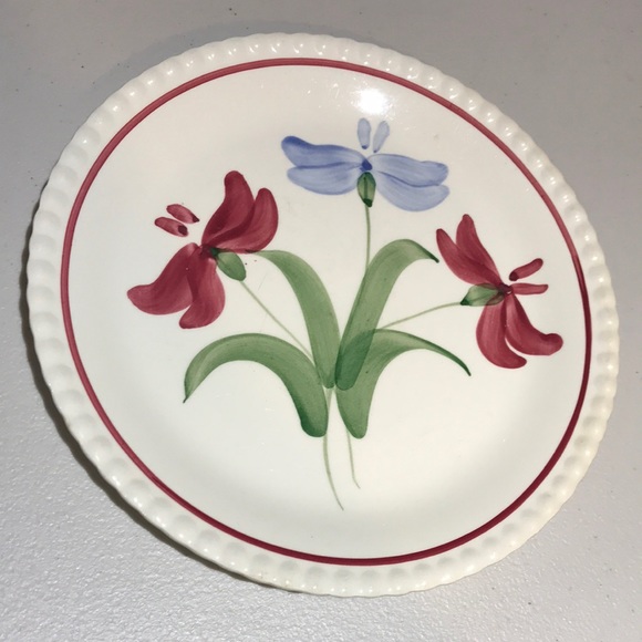 Vintage EUC Blue Ridge Hand Painted Southern Potteries Plate - Picture 1 of 7